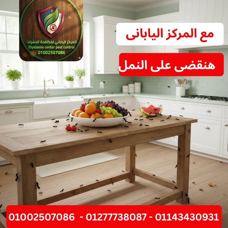 القضاء على النمل
