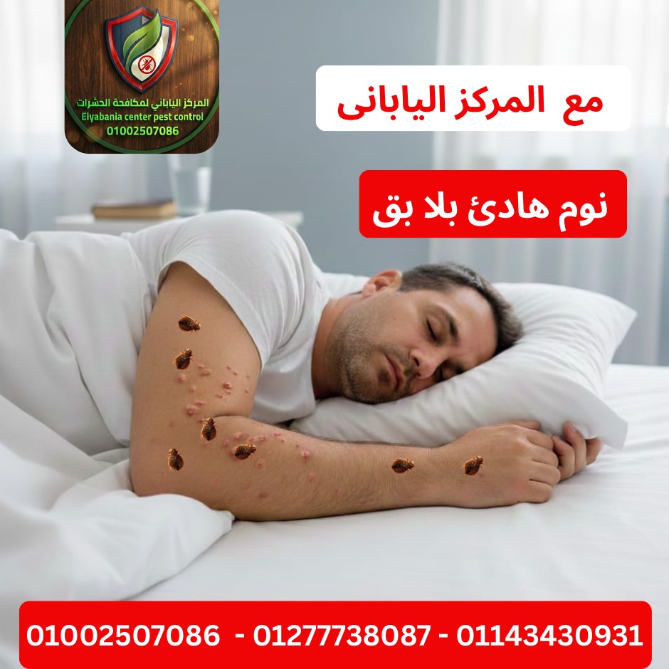 القضاء على بق الفراش