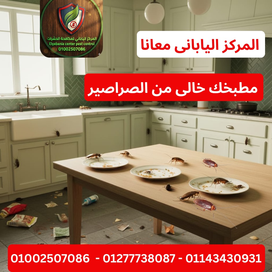 القضاء على الصراصير