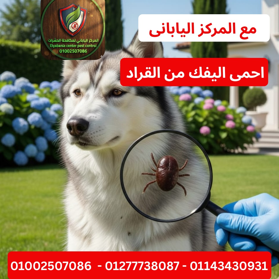 حماية الحيوانات الأليفة